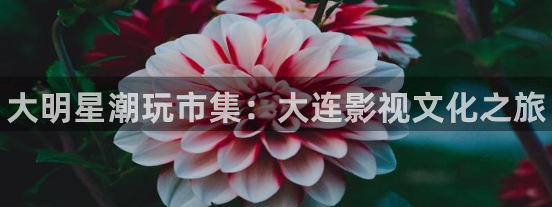 成人伦理视频在线观看：大明星潮玩市集：大连影视文化之旅