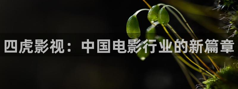 成人午夜伦理影院：四虎影视：中国电影行业的新篇章