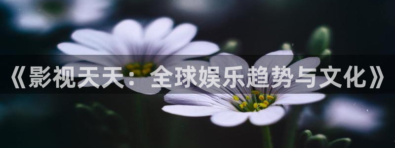 伦理影院在线：《影视天天：全球娱乐趋势与文化》