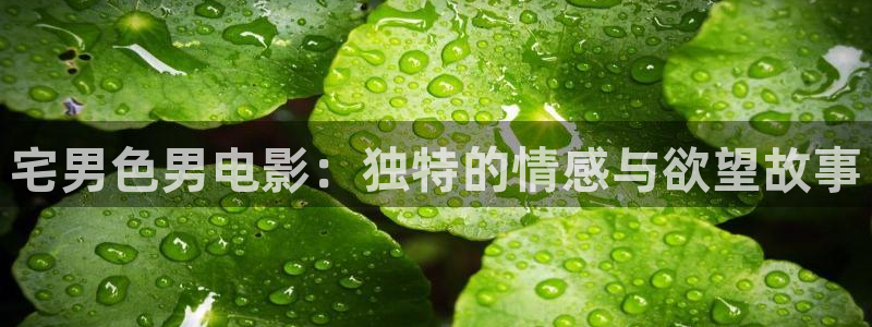 免费观看午夜伦理影院：宅男色男电影：独特的情感与欲望故事