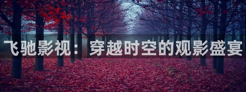 单县伦理影院：飞驰影视：穿越时空的观影盛宴