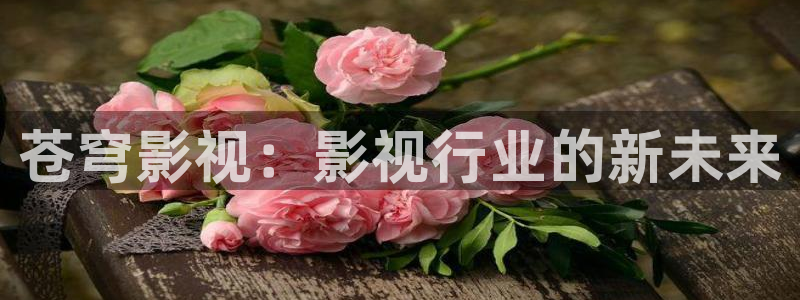 第九伦理影院：苍穹影视：影视行业的新未来